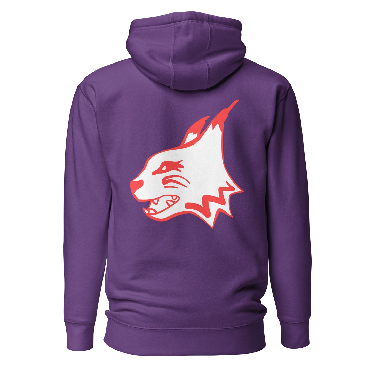 IF Theatre Hoodie - BFDC Edition